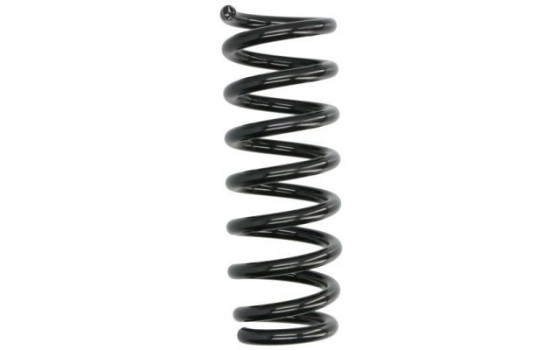 Chassis spring