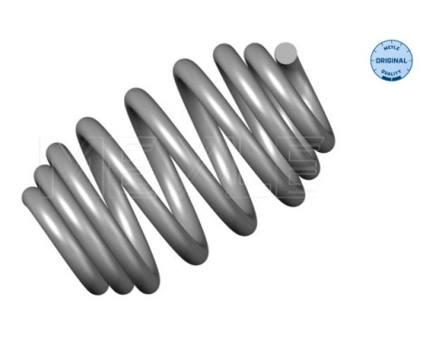 Chassis spring