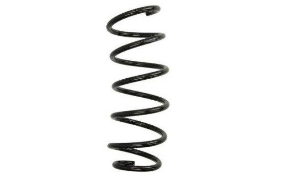 Chassis spring