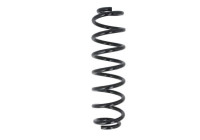 Chassis spring