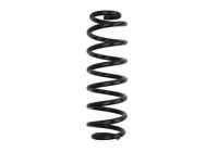 Chassis spring
