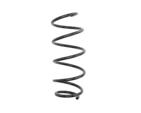 Chassis spring