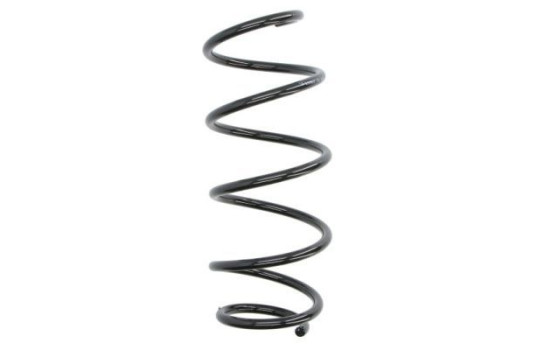 Chassis spring