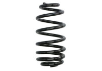 Chassis spring