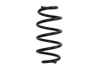 Chassis spring