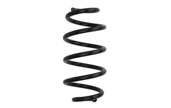 Chassis spring