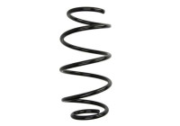 Chassis spring