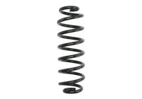 Chassis spring