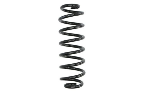 Chassis spring