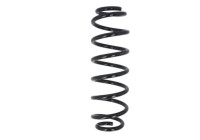 Chassis spring