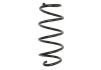 Chassis spring