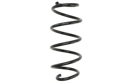 Chassis spring