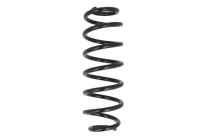 Chassis spring