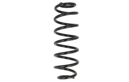 Chassis spring