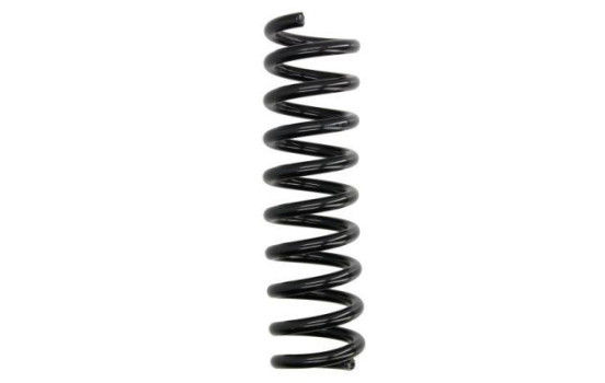Chassis spring