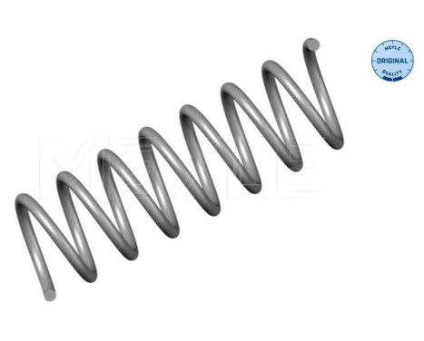 Chassis spring
