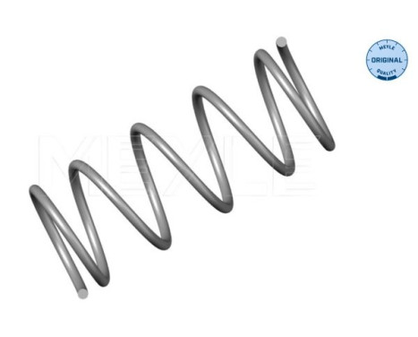 Chassis spring