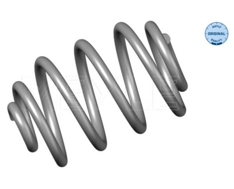 Chassis spring