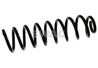 chassis spring