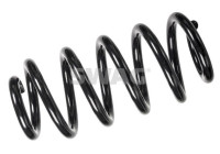 chassis spring