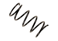 Chassis spring