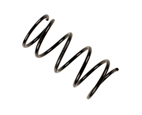 Chassis spring
