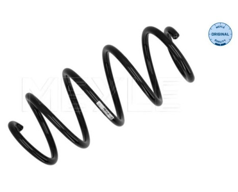 Chassis spring