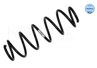 Chassis spring