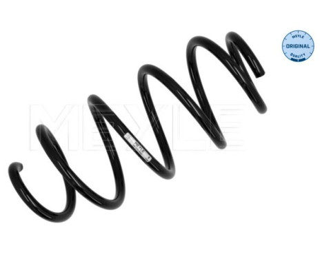 Chassis spring