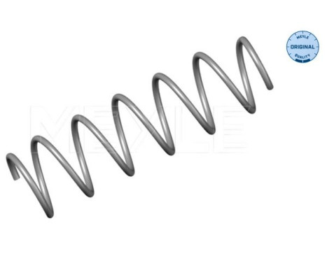Chassis spring