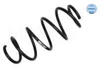 Chassis spring