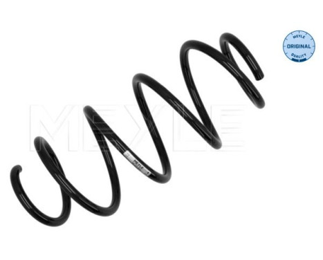 Chassis spring