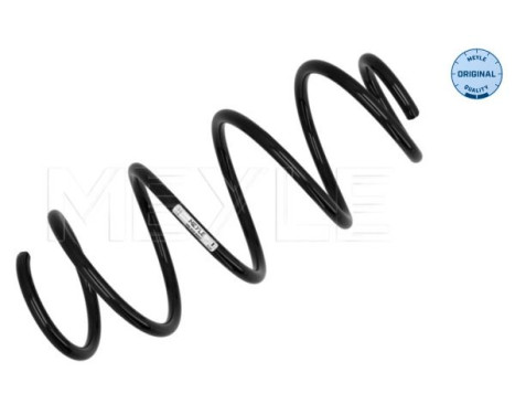 Chassis spring