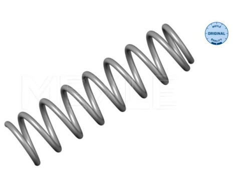 Chassis spring