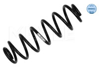 Chassis spring
