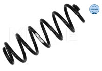 Chassis spring