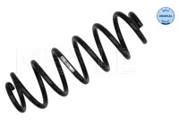 Chassis spring