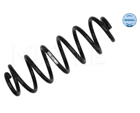 Chassis spring