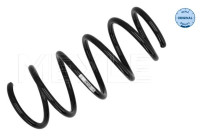 Chassis spring