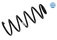 Chassis spring