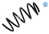 Chassis spring