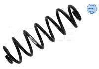 Chassis spring