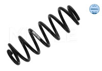 Chassis spring