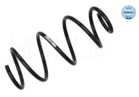 Chassis spring