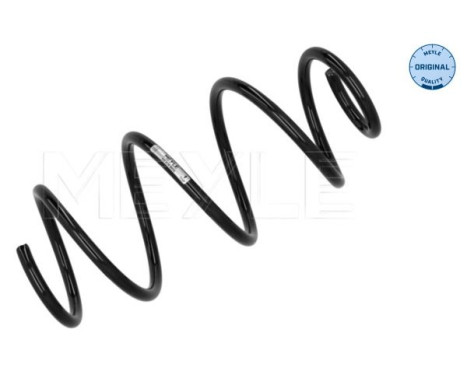 Chassis spring