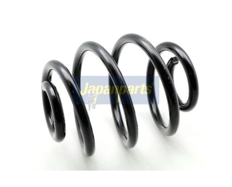 Chassis spring