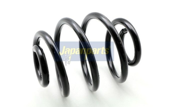 Chassis spring