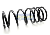 Chassis spring