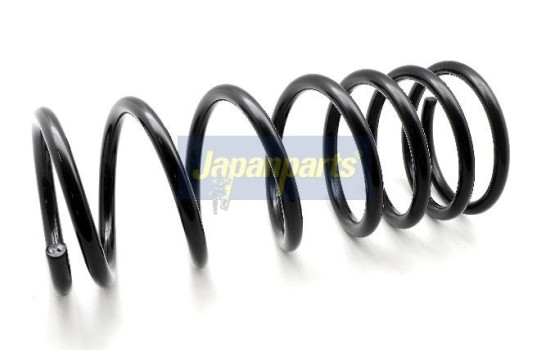 Chassis spring