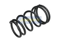 Chassis spring